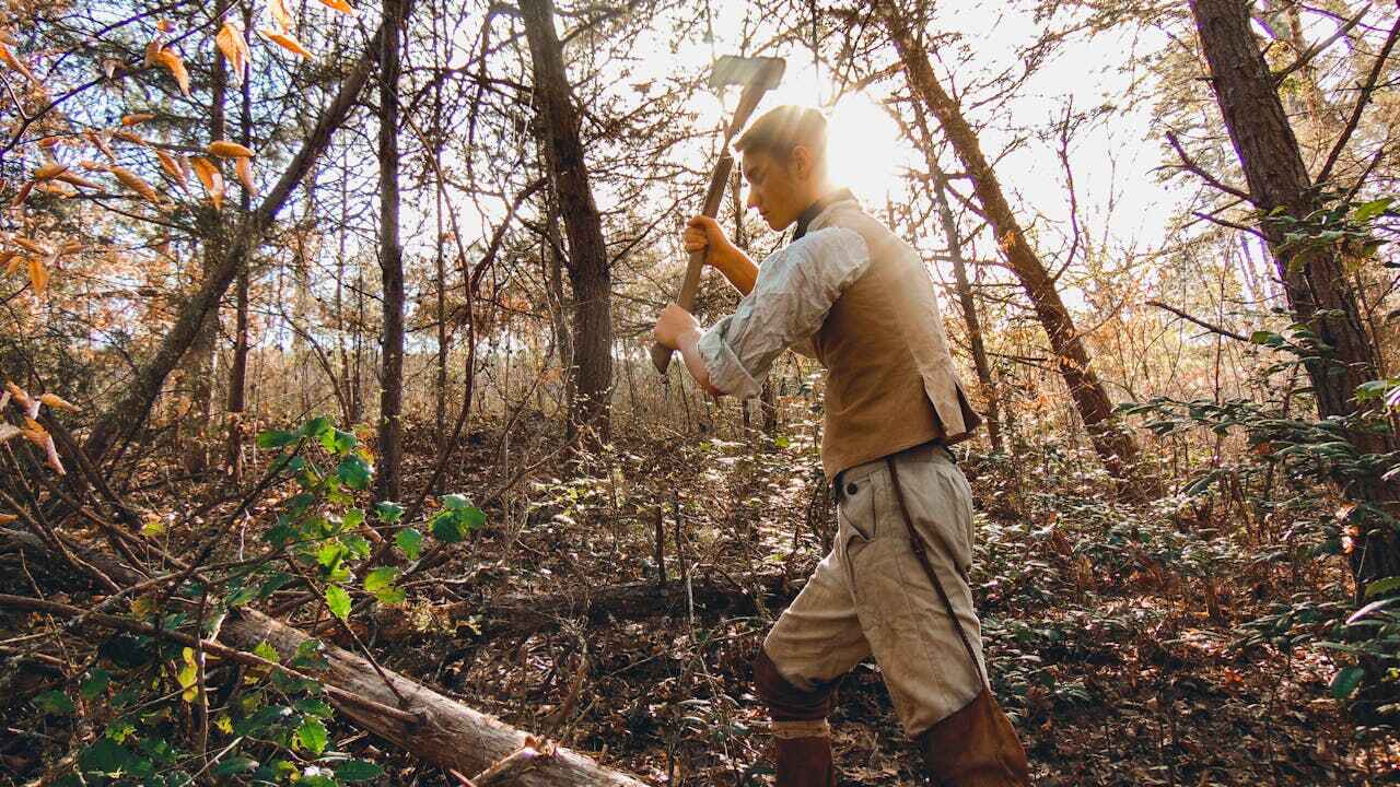 Best Tree Branch Trimming  in Boston, GA